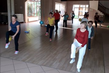 GYM D’ENTRETIEN