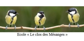 Conseils d’Ecole 2024-2025