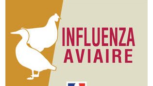 Relèvement du niveau de risque de l’Influenza aviaire